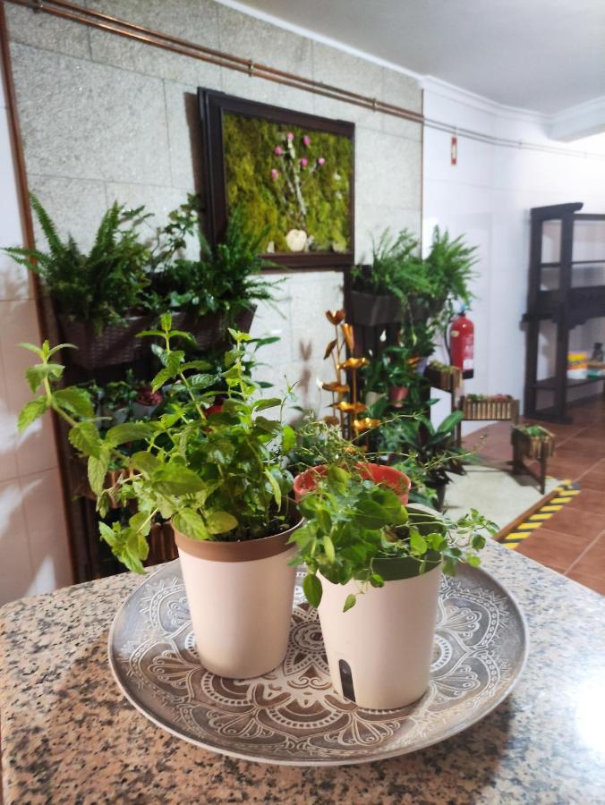 Zimao Garden House Hotel Vila Pouca de Aguiar Bagian luar foto